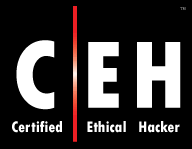 Ceh v11 course in Punjab