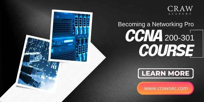 Becoming a Networking Pro: Explore Our CCNA Course