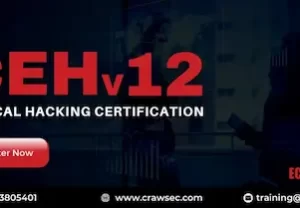 Certified Ethical Hacker CEH Course in Delhi