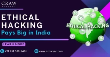 Ethical Hacking Pays Big in India