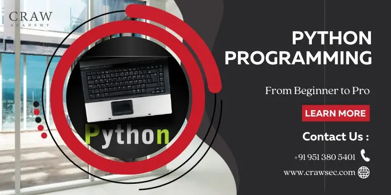 Navigating the Python Programming