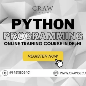Online Python Training in Delhi