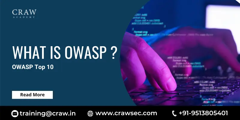 What is OWASP