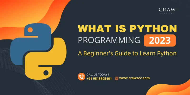 What is python