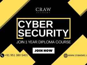 1 Year Cyber Security Diploma