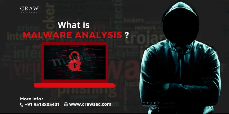 what is malware analysis